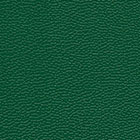 RC0136 ~ Зеленый баладек