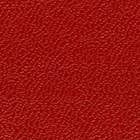 RC0298 ~ Ледерин красный