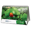 Настольный календарь 2009 (САС)