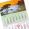 Квартальный календарь 2009 - РИОН