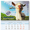 Календарь квартальный Деревянной Козы