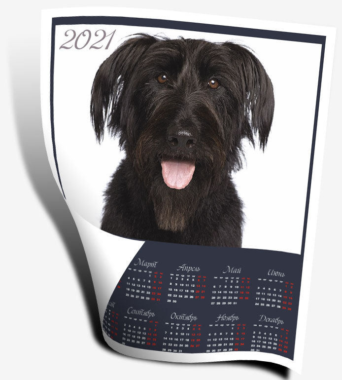 Календарь плакат настенный с собакой