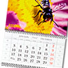 Квартальный календарь 2008 (РИОН)